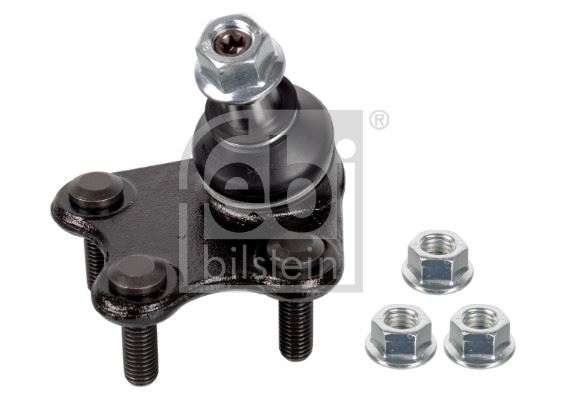 992929019.jpg 992929019