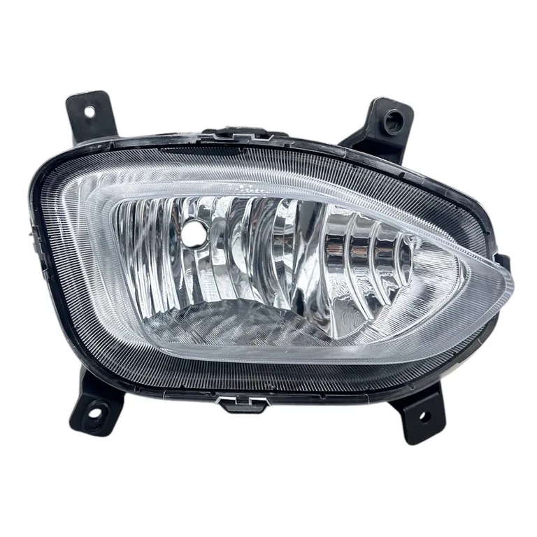 img027493.webp img027493