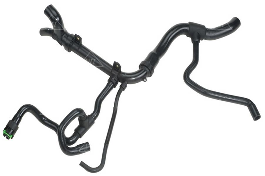 453709442.jpg 453709442