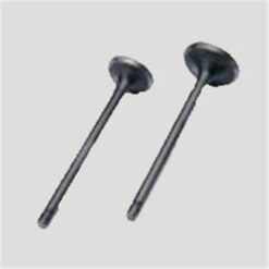 Subap Emme Egzoz Astra G-h 1.4t 16v 140bg A14net Lpg Ye Uyumlu - 641051-641096