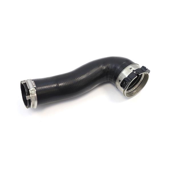 780854755.jpg 780854755