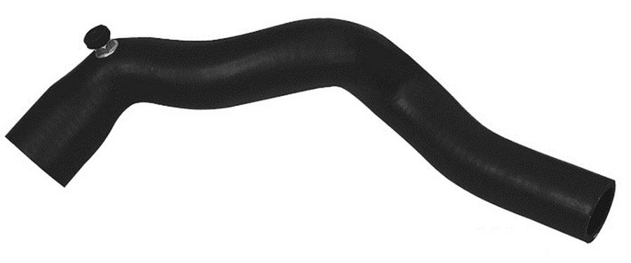 872696417.jpg 872696417