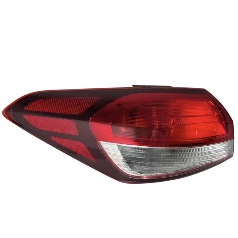 img012449.webp img012449